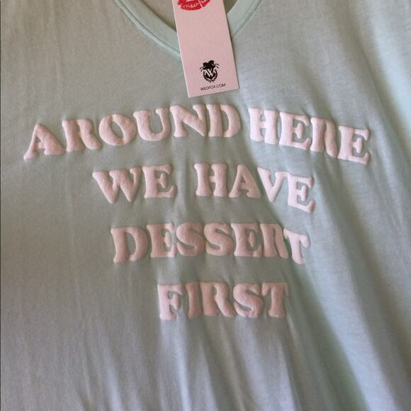 WILDFOX Womens Dessert First Oversized V-Neck Printed Aqua Tee Size XS - Picture 10 of 11